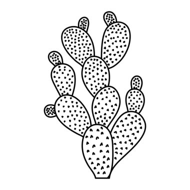satır tropikal kaktüs doğa çöl bitki vektör çizim