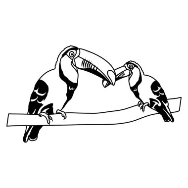 Güzellik toucan kuş bununla şube vektör çizim oğlu satır