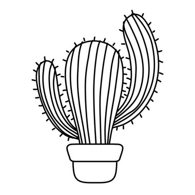 satır içinde saksı vektör çizim çöl kaktüs bitki doğa