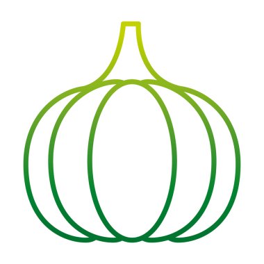 bozulmuş satır organik Sarımsak doğal sebze gıda vektör çizim