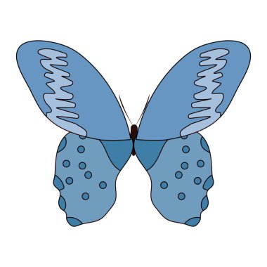 Güzellik kelebek böcek güzel kanatlı illüstrasyon vektör