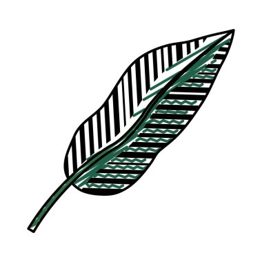 egzotik yaprak botanik doğal stil vektör çizim doodle