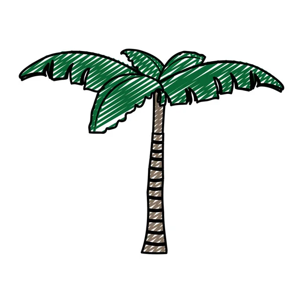 Doodle Naturaleza Palmera Con Hojas Diseño Vector Ilustración — Archivo Imágenes Vectoriales