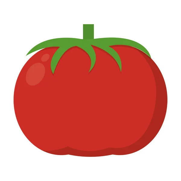 Organic tomato vegetable natural food — Stock Vector