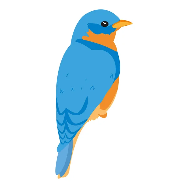 Animal Pájaro Belleza Con Alas Plumas Vector Ilustración — Archivo Imágenes Vectoriales