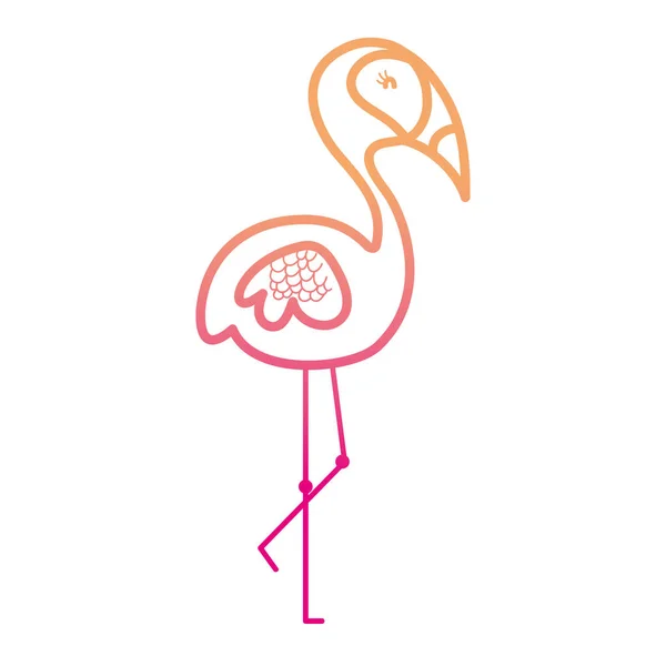 Linha Degradada Flamingo Exótico Pássaro Tropical Animal Vetor Ilustração —  Vetores de Stock