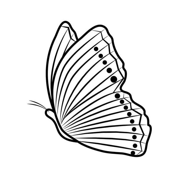 ベクトル図を飛んで行美蝶昆虫動物 — ストックベクタ