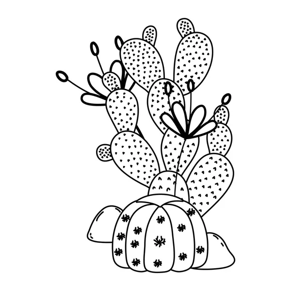 Línea Cactus Planta Con Flores Exóticas Las Piedras Vector Ilustración — Archivo Imágenes Vectoriales