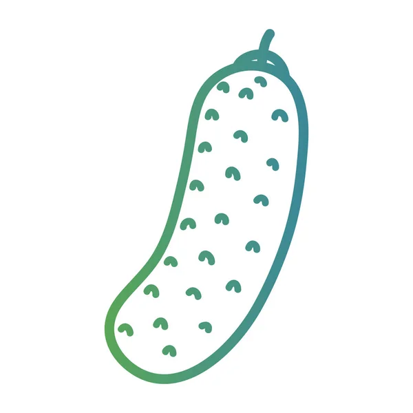 Ligne Organe Concombre Légume Nourriture Vecteur Illustration — Image vectorielle