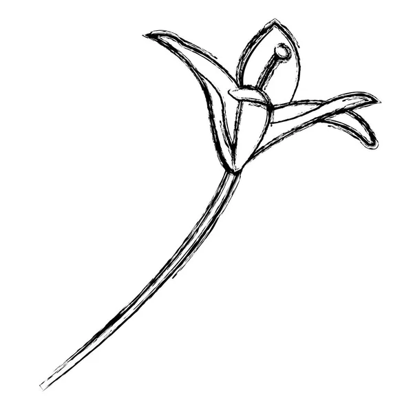 Grunge Természetes Virág Növény Szépség Szirmok Vektoros Illusztráció — Stock Vector