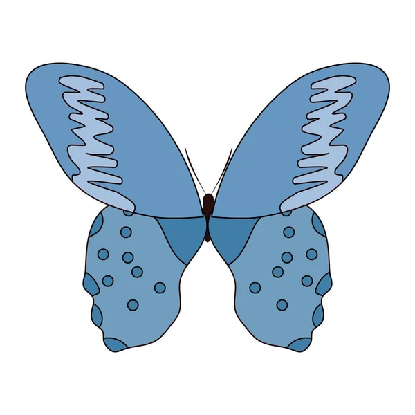 Belleza Mariposa Insecto Con Bonitas Alas Vector Ilustración — Vector de stock