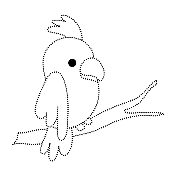 Пунктирная Форма Красота Попугай Птицы Животного Ветви Векторной Иллюстрации — стоковый вектор