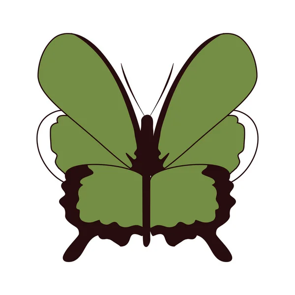 Belleza Mariposa Insecto Animal Con Alas Vector Ilustración — Vector de stock