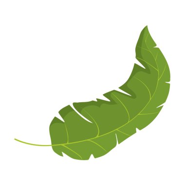 Botanik ve egzotik yaprak doğal stil vektör çizim