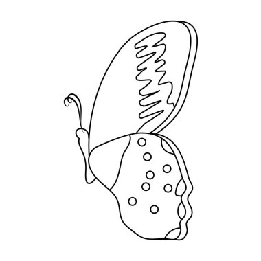 satır güzellik kelebek böcek kanatları dekorasyon vektör çizim ile