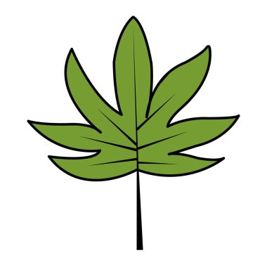 egzotik yaprakları ile doğal şube stil vektör çizim renk