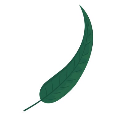 Botanik yaprak doğal egzotik tarzı vektör çizim