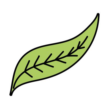 renk tropikal ve güzellik yaprak doğa stil vektör çizim