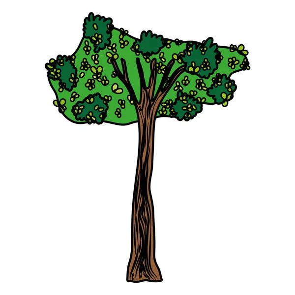 Farbe Tropischer Baum Mit Natur Zweige Blätter Vektor Illustration — Stockvektor