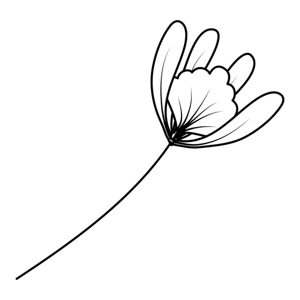 Linie Natur Blume Botanik Pflanze Stil Vektor Illustration — Stockvektor