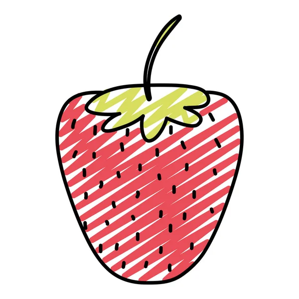Doodle Frischen Leckeren Erdbeeren Obst Ernährung Vektor Illustration — Stockvektor