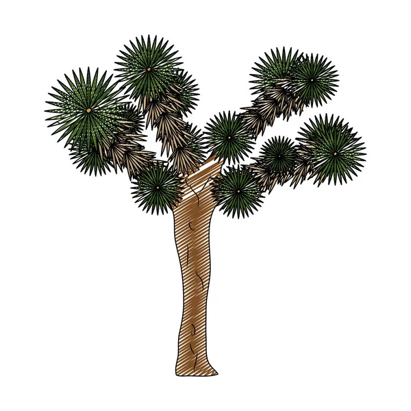 Doodle Yucca Brevifolia Векторная Иллюстрация Дерева Пустыни — стоковый вектор