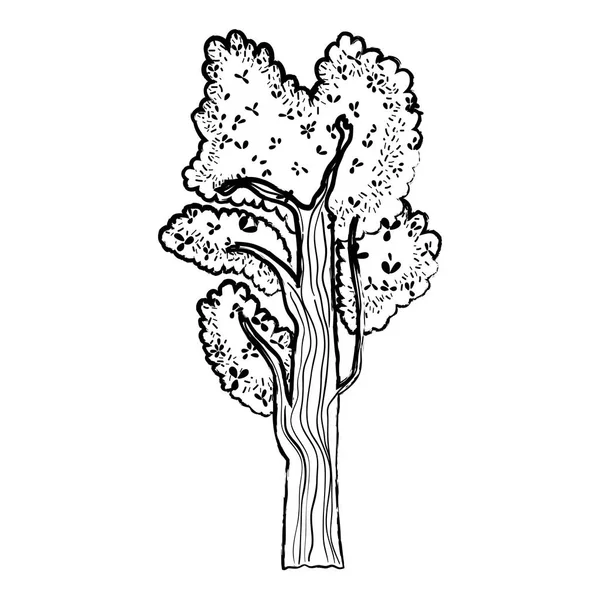Grunge Exotiska Träd Med Blad Stil Och Grenar Vektorillustration — Stock vektor