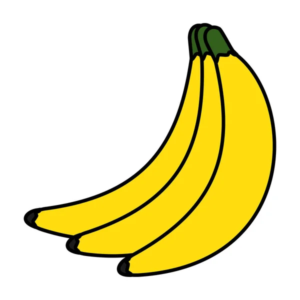 Color Organic Bananas Delicious Organic Fruits Vector Illustration — Stock Vector