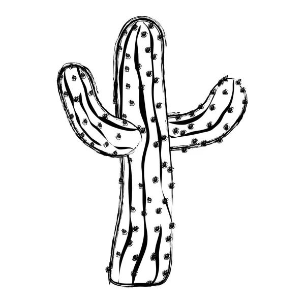 Grunge Tropical Cactus Planta Naturaleza Desierto Vector Ilustración — Vector de stock