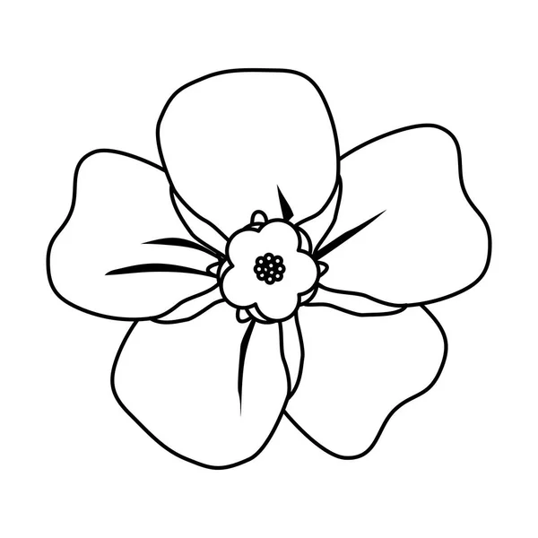 Mooie Bloem Decoratie Met Schattige Bloemblaadjes Vectorillustratie Lijn — Stockvector