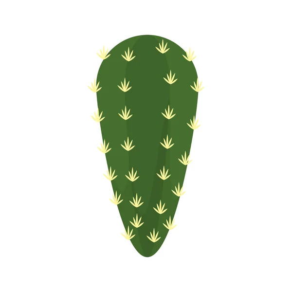 砂漠のサボテン植物葉デザイン ベクトル図 — ストックベクタ