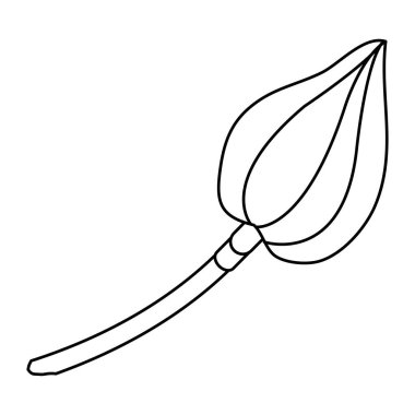 satır egzotik güzel çiçek bitki yaprakları vektör çizim ile