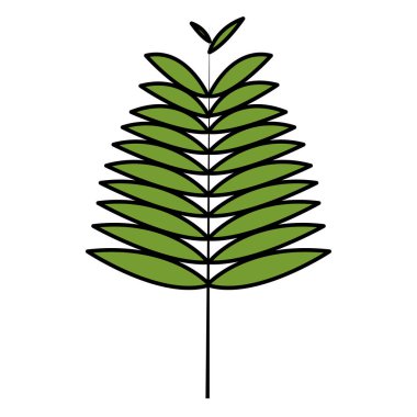 renk egzotik şube ile doğal tasarlamak vektör yaprak