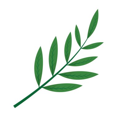 ile bitki dal doğa tasarlamak vektör yaprak