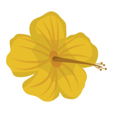 egzotik çiçek doğa ile güzel yaprakları illüstrasyon vektör