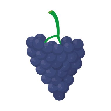 lezzetli kahvaltı üzüm organik meyve vektör çizim