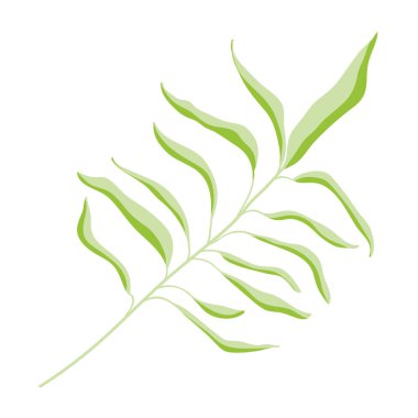 Doğa şube egzotik bitki vektör çizim bırakır