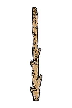 Doodle doğa ağaç kök doku bitki vektör çizim