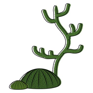 renk doğa kaktüs çöl bitkileri simge vektör çizim taşındı