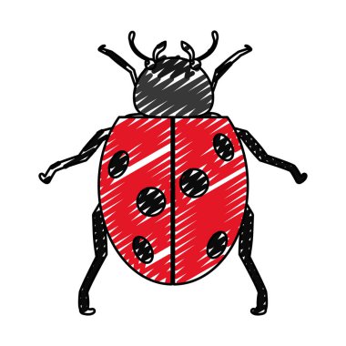Doğa uğur böceği böcek hayvan bahar vektör çizim doodle