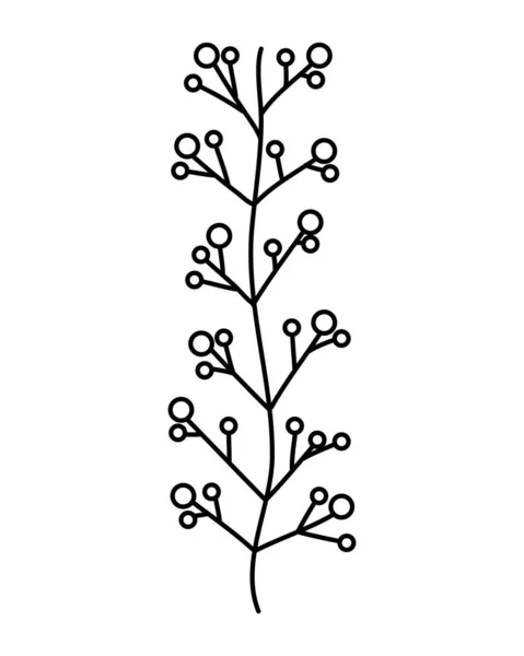 Linka Kterou Přírodní Rostlina Listy Roztomilé Květy Vektorové Ilustrace — Stockový vektor