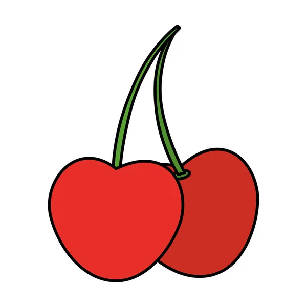 Farbe Köstlich Kirschen Bio Obst Ernährung Vektor Illustration — Stockvektor
