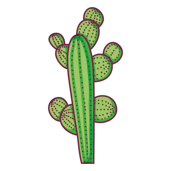 植物サボテン砂漠の自然植物のベクトル図 — ストックベクタ