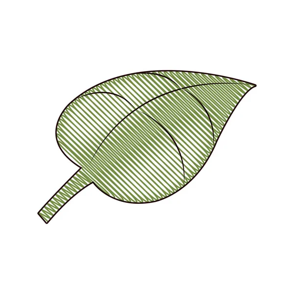 Каракулі Природа Тропічний Лист Рослини Векторні Ілюстрації — стоковий вектор