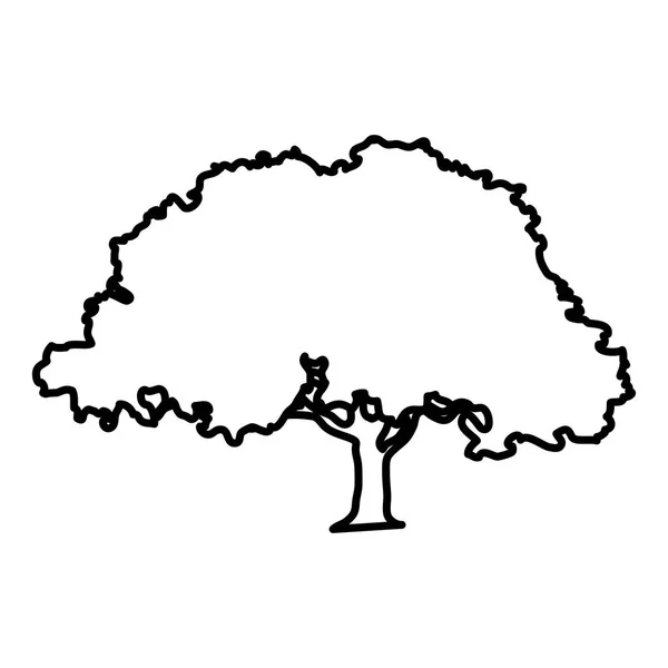 Línea Árbol Natural Con Tallo Ramas Hojas Vector Ilustración — Vector de stock