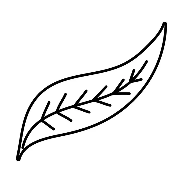 Rad Tropiska Och Skönhet Leaf Natur Stil Vektorillustration — Stock vektor
