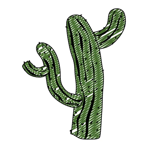 Doodle Cactus Plante Conception Nature Dans Désert Illustration Vectorielle — Image vectorielle