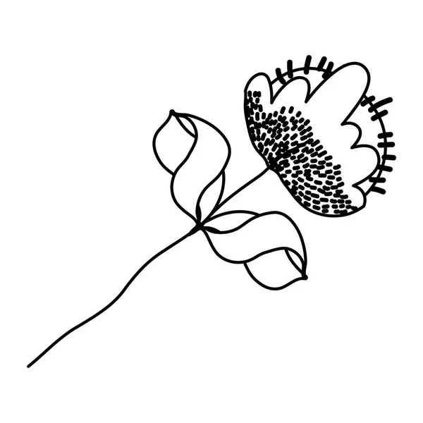 Vektör Çizim Çizgi Çiçek Bitki Stili Ile Egzotik Bırakır — Stok Vektör
