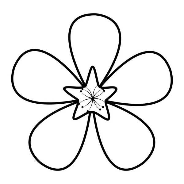 Γραμμή Εξωτικό Λουλούδι Φύση Πέταλα Όμορφη Εικονογράφηση Διάνυσμα — Διανυσματικό Αρχείο