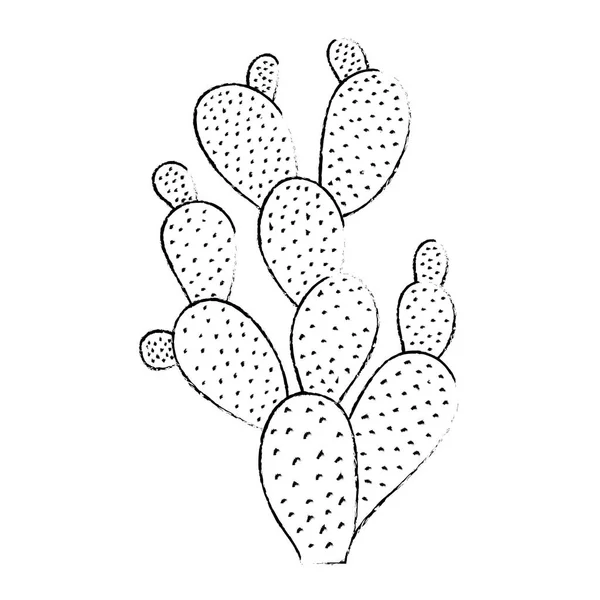 Grunge Tropiska Cactus Natur Ökenväxt Vektorillustration — Stock vektor